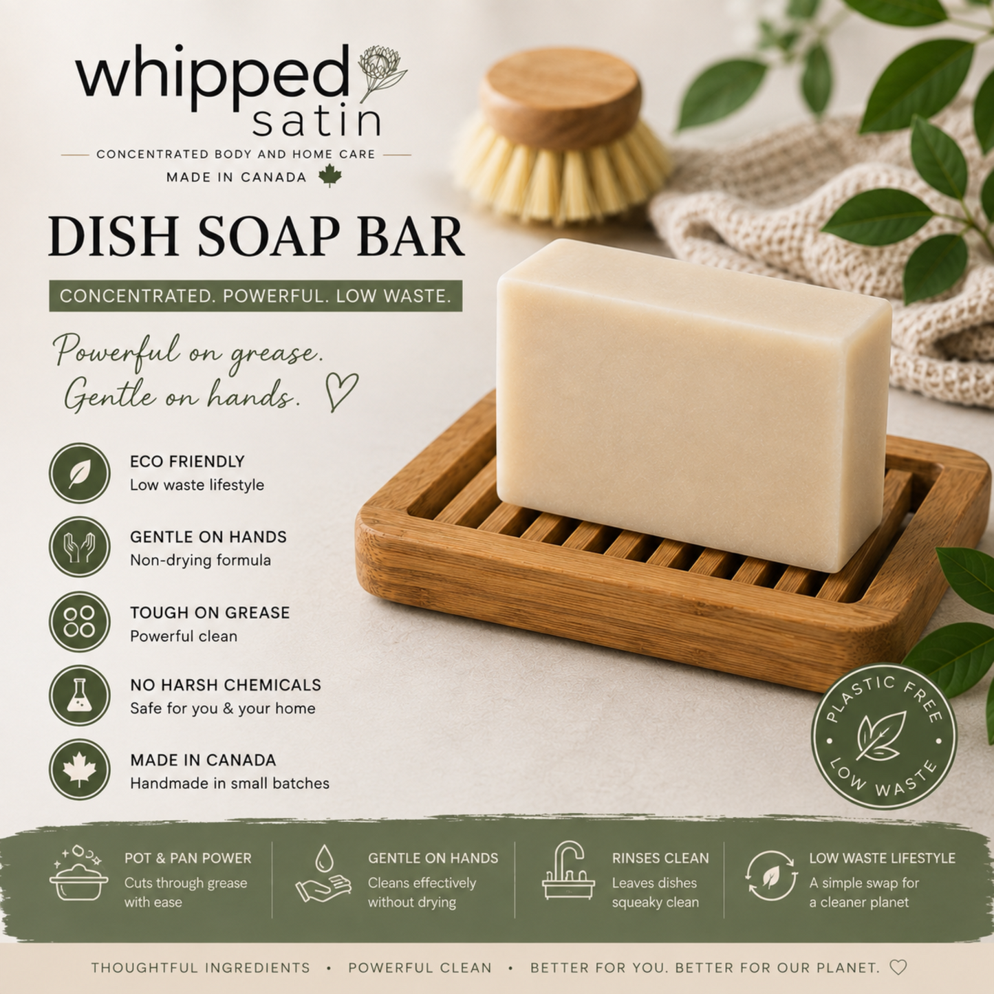 Solid Dish Bar
